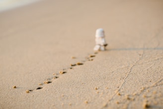 Stormtrooper with footprints on sand