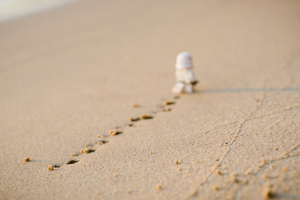 Sturmtruppler mit Fußabdrücken auf Sand