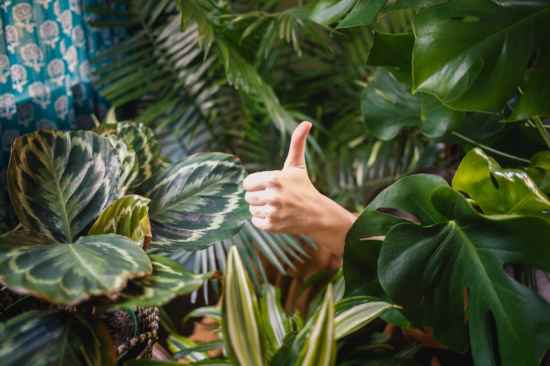 thumbs up among plants