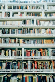 assorted-title book lot on shelves