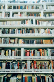 assorted-title book lot on shelves
