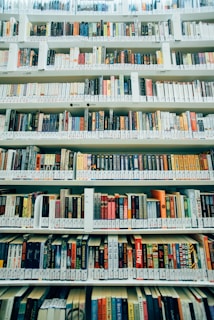 assorted-title book lot on shelves