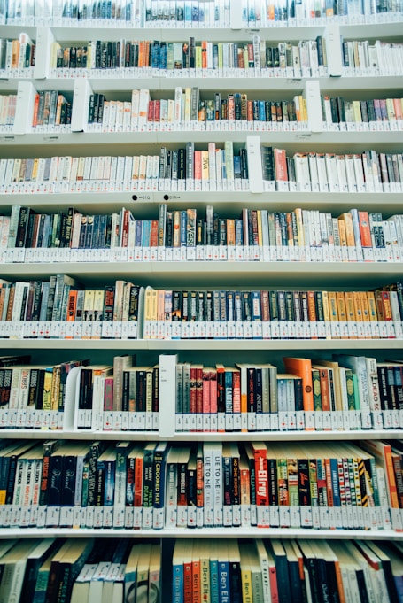 assorted-title book lot on shelves