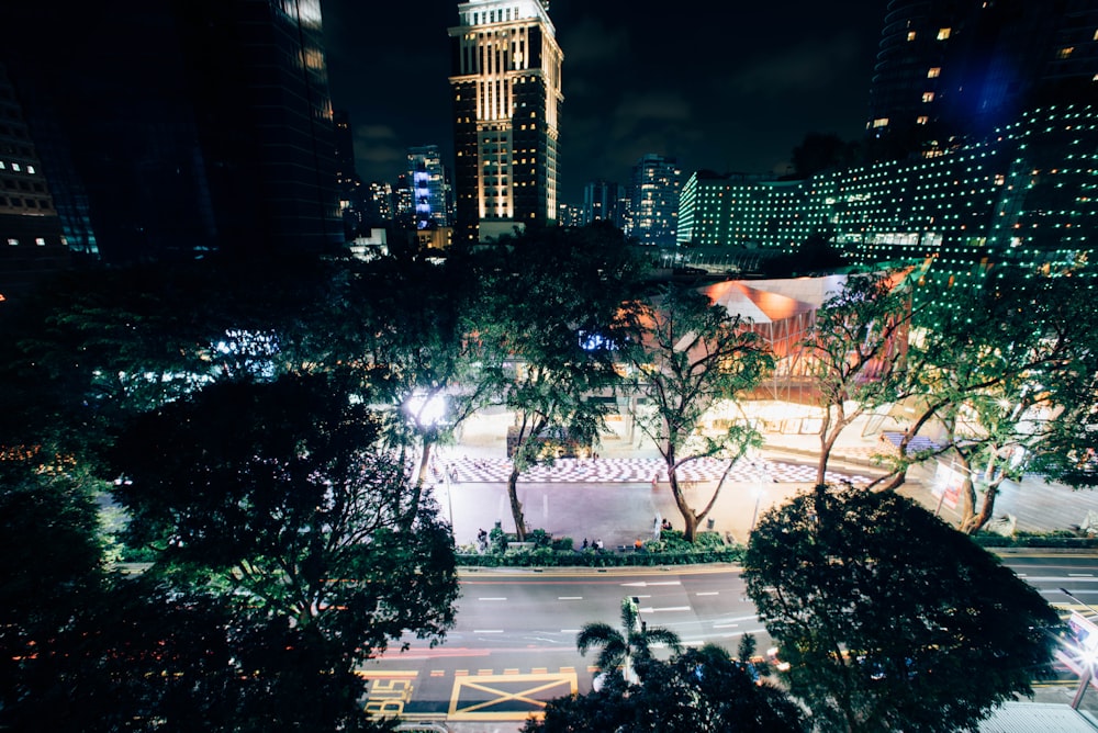 green trees photography during nighttime