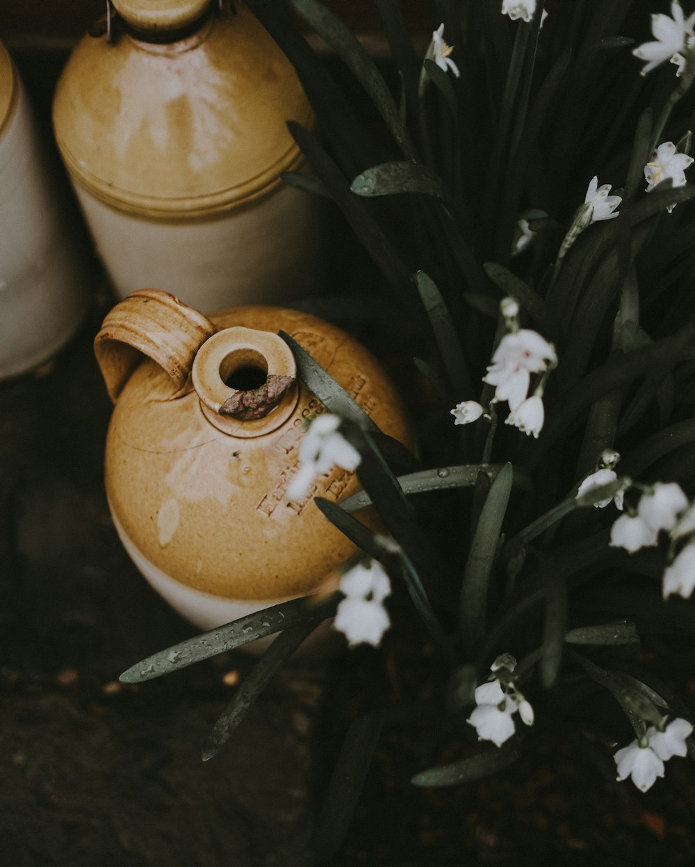 braune Keramikgefäße neben weißen Blumen