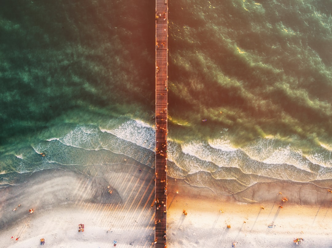 aerial photography of people at beach and sea dock