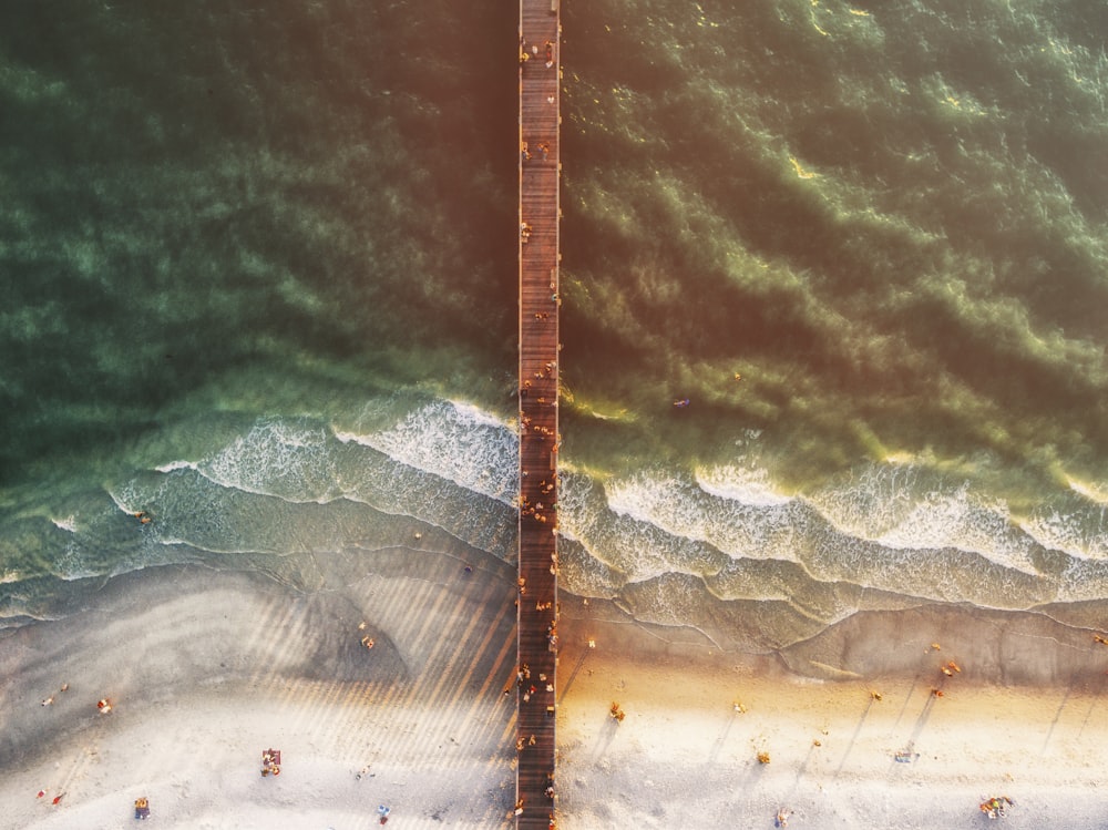 Photographie aérienne de personnes sur la plage et le quai de mer