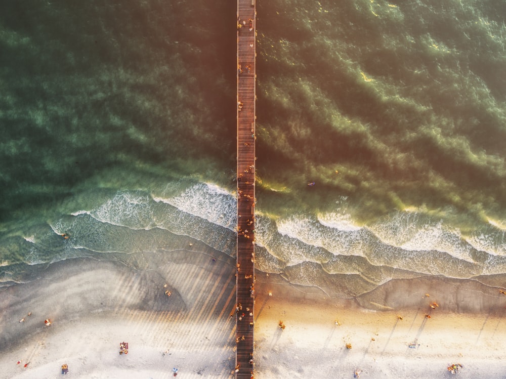 fotografia aérea de pessoas na praia e no cais do mar