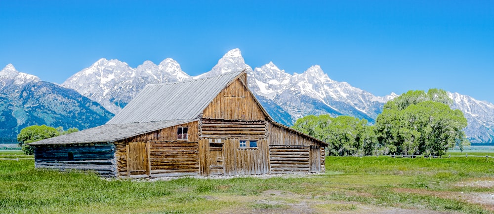 brown log house surrounded by green leaf trees with mountain alps on background