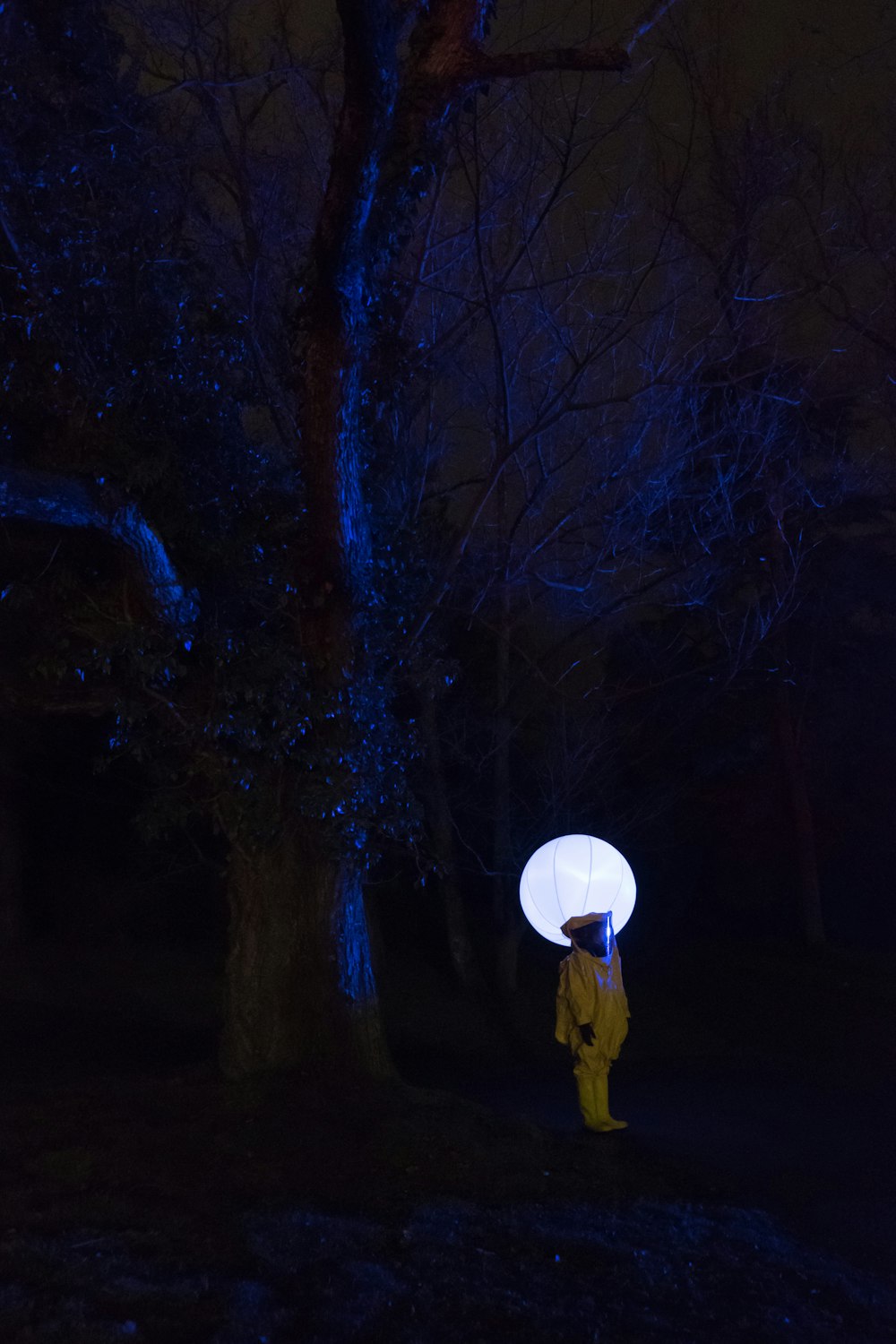 personne en tenue blanche debout sous l’arbre sans feuilles la nuit