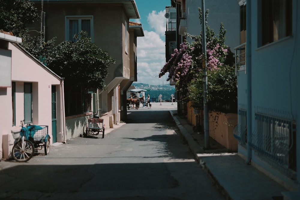 photography of narrow street