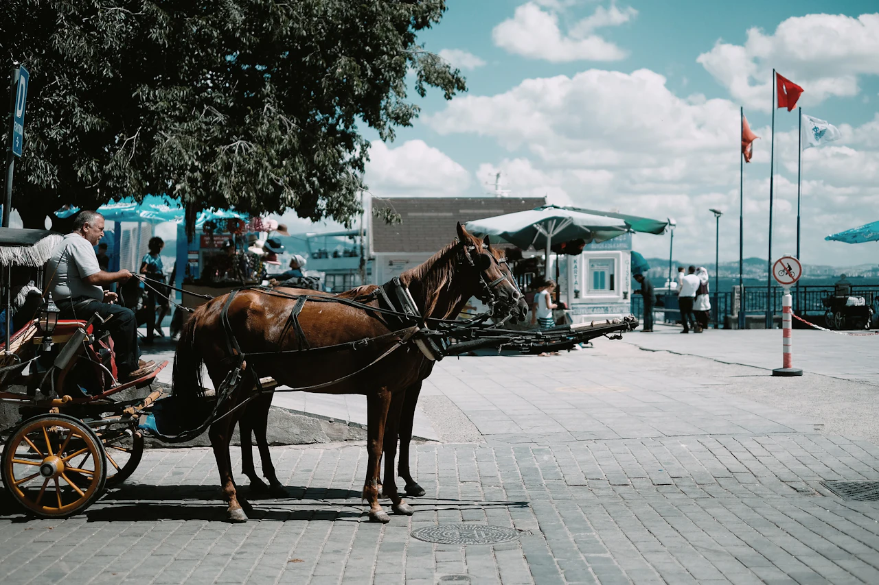 Horse-drawn carriage on the Princes’ Islands