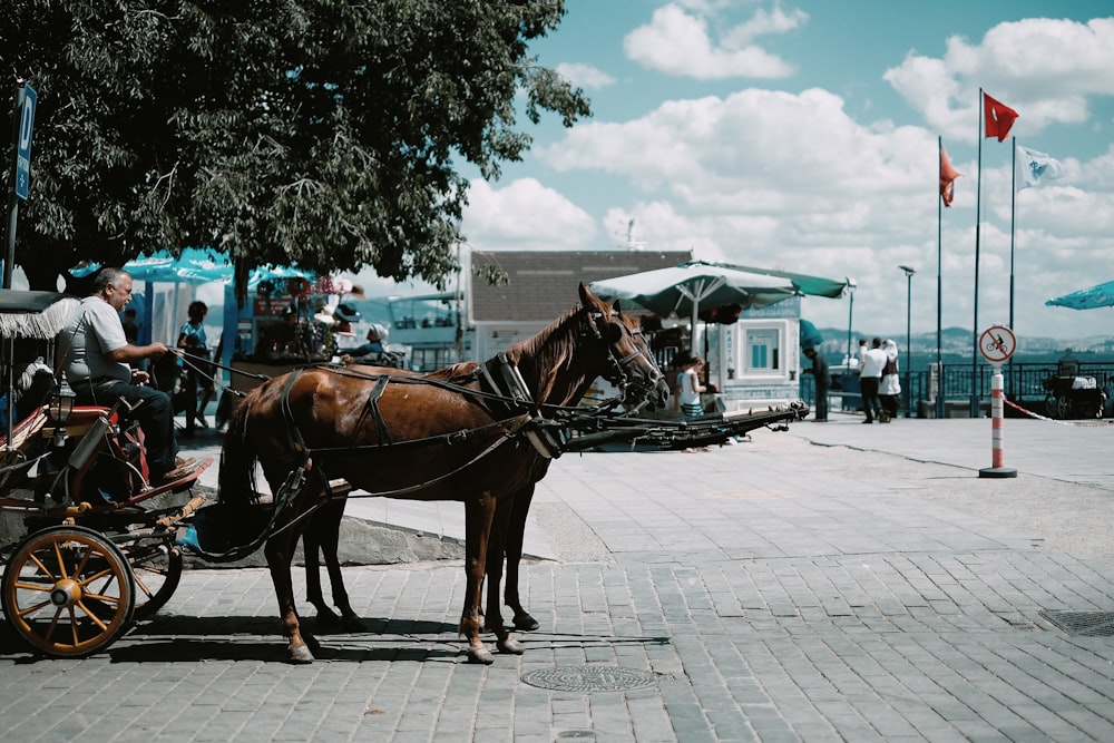 person riding horse with carriage