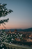 green tree with white string lights