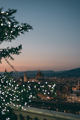 green tree with white string lights