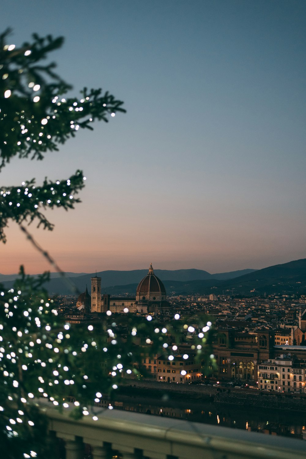 green tree with white string lights