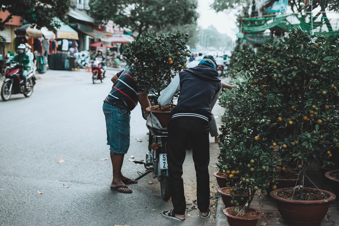 two men beside motorcycle and green leafed plants