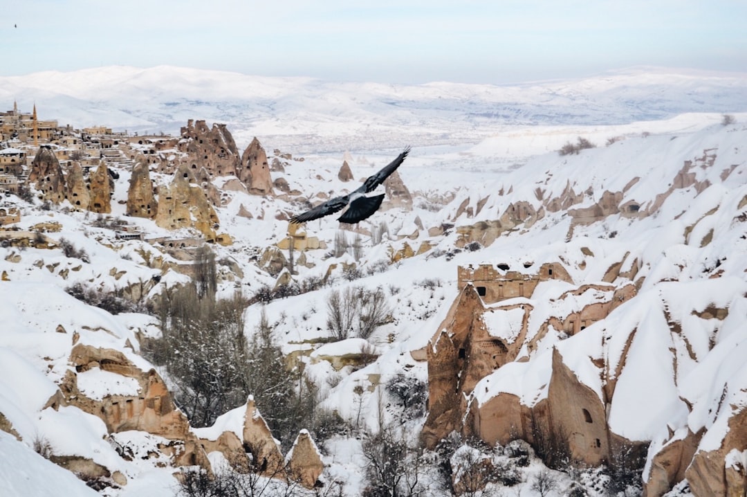 Tundra photo spot Cappadocia Cave Turkey