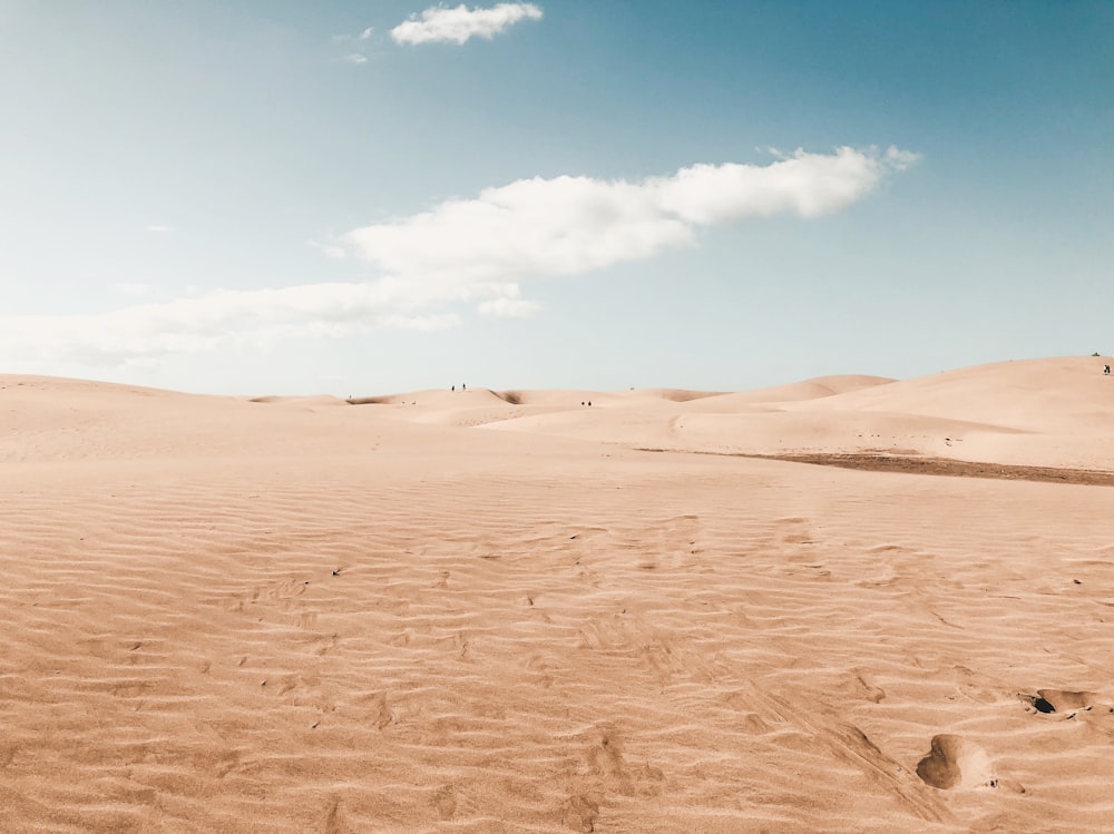 Fotografía del desierto