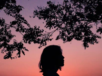 silhouette of person under tree