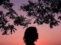 silhouette of person under tree