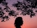 silhouette of person under tree