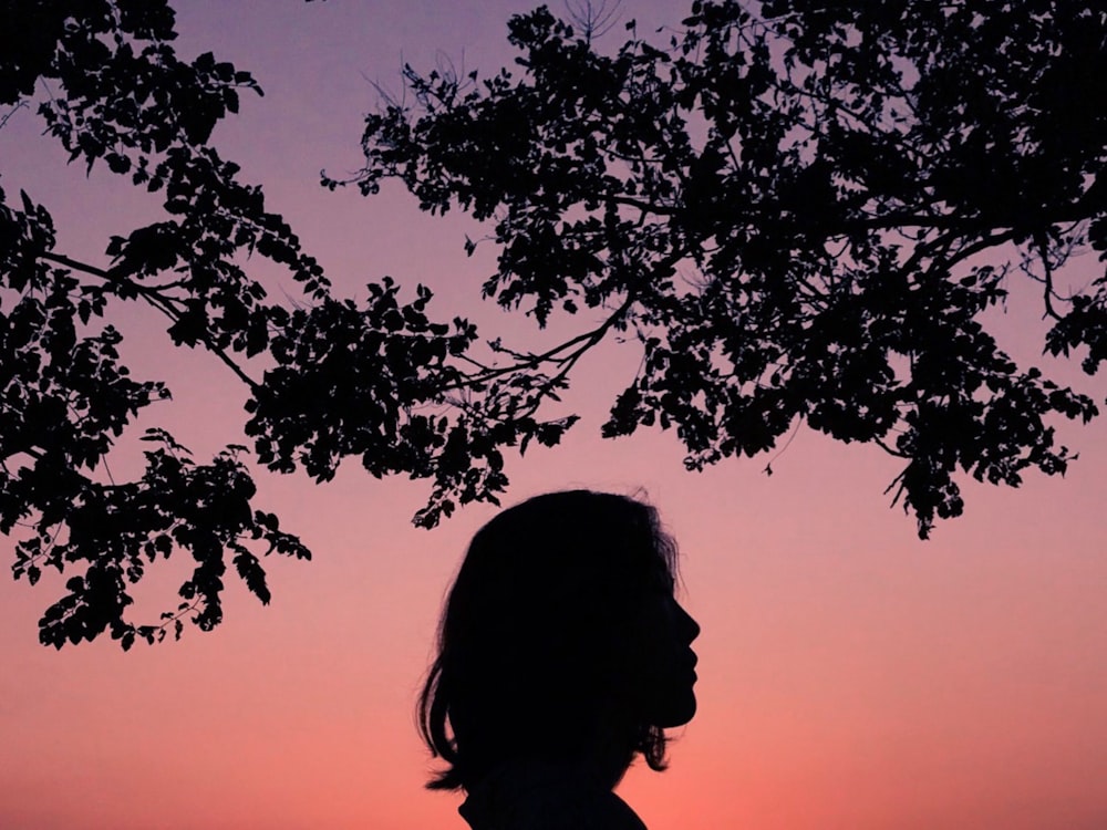 silhouette of person under tree