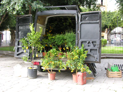 A delivery truck loaded with bulk orders of potted plants ready for shipment.