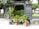A van with open doors at the rear reveals a variety of potted plants, including small citrus trees with visible fruits and lush greenery. The scene is set outdoors on a paved area with a park and trees visible in the background. Several pots and containers are arranged on the ground in front of the van.
