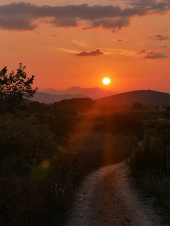 A sunset view over a pilgrimage trail.