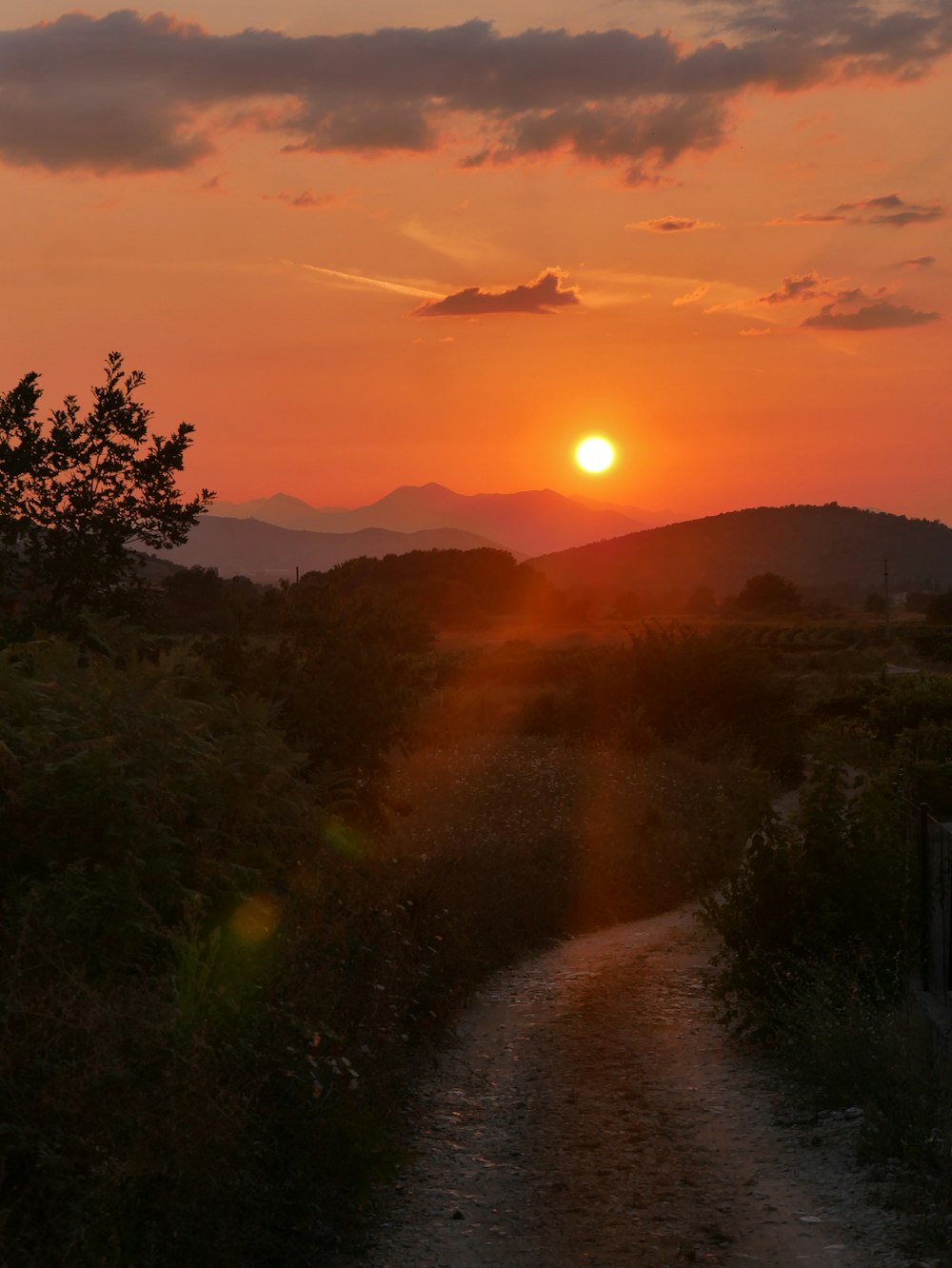 silhouette photo of sunset view