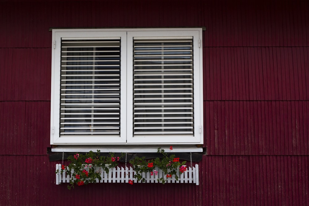 white window shutters