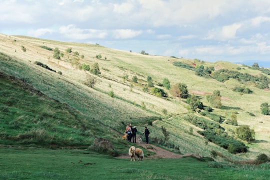 dog standing near group of people in Arthur's Seat United Kingdom