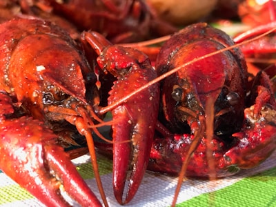 Two bright red crawfish lie on a checkered surface, glistening under light, with visible details of their shells and claws.
