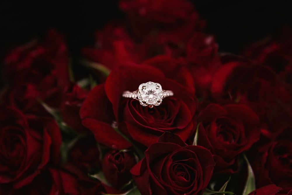 bague argentée sur le dessus de roses rouges