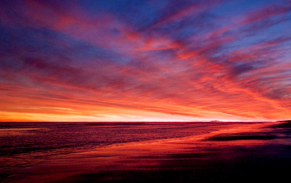 photography of orange sky