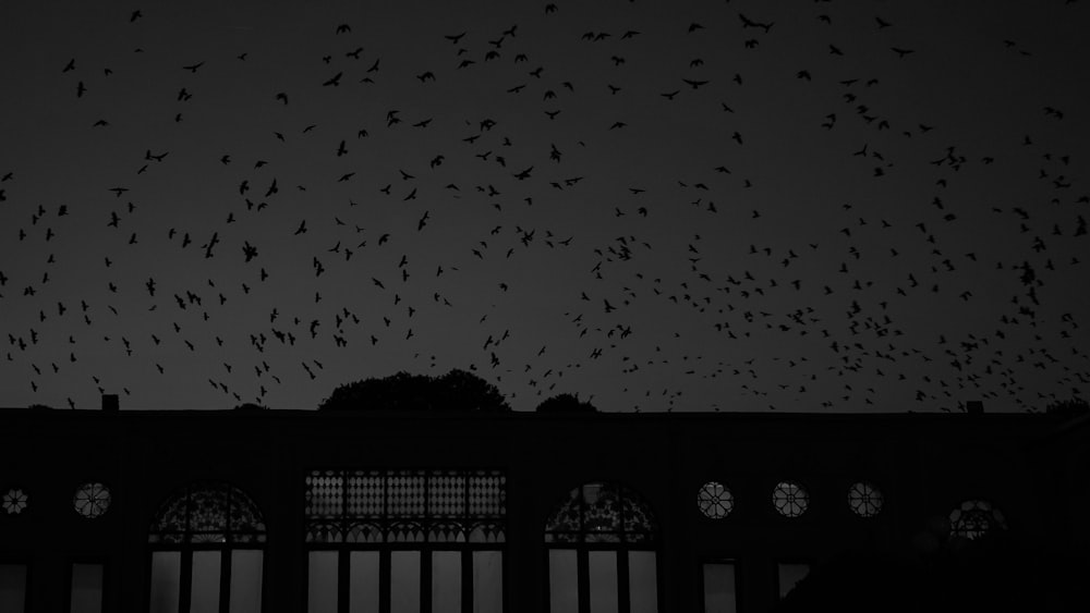 a large flock of birds flying over a building