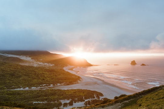 landscape photo of mountain and ocean in Dunedin New Zealand