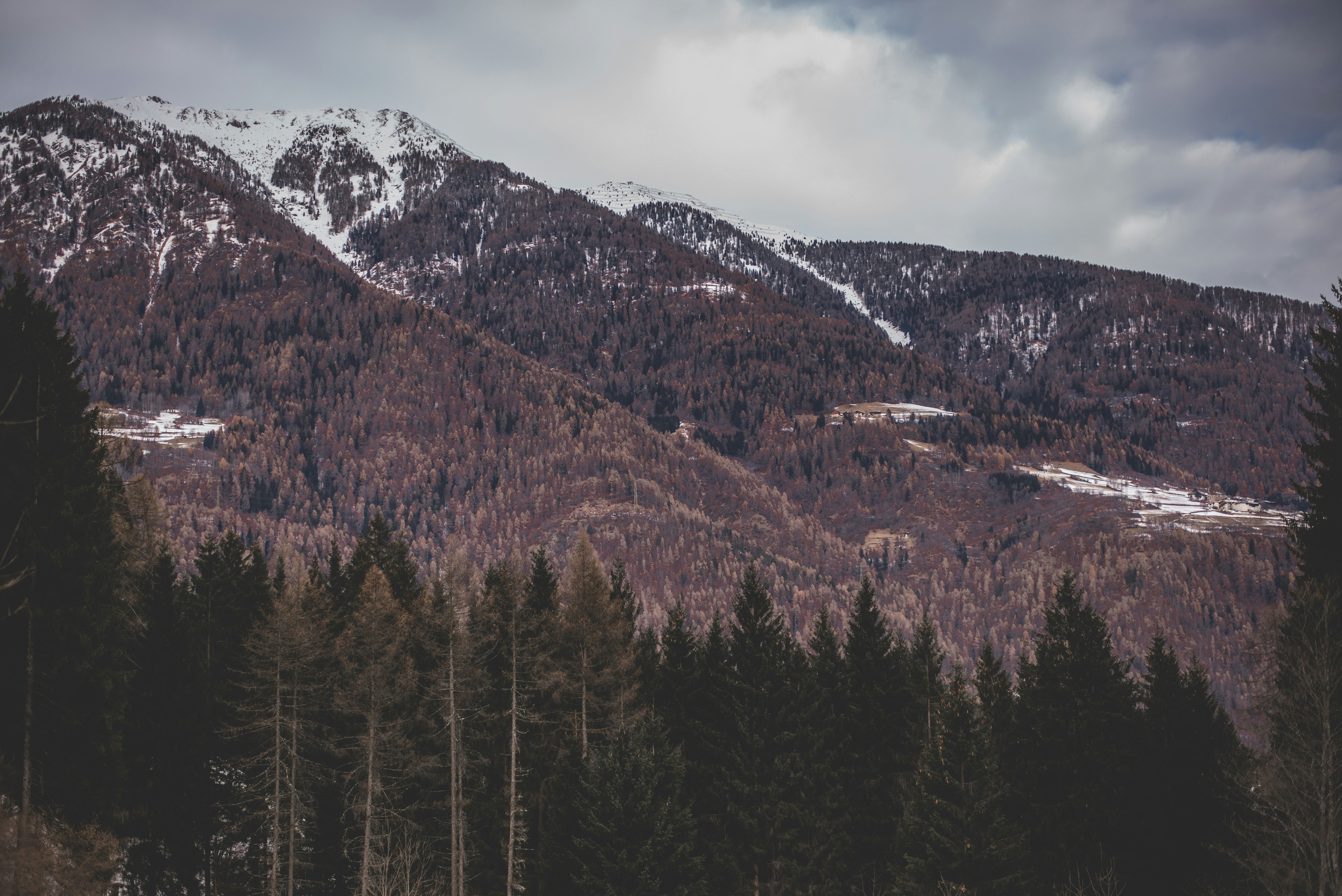 Photo by davide_pietralunga
