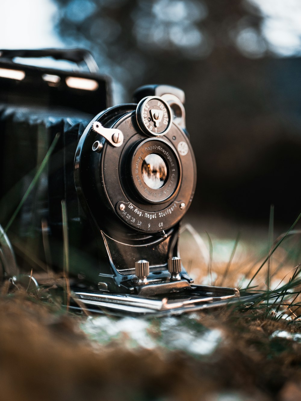 black land camera on grass land