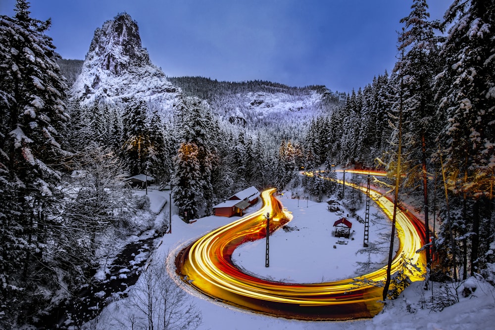 fotografia time-lapse de estrada cercada por pinheiros revestidos de neve