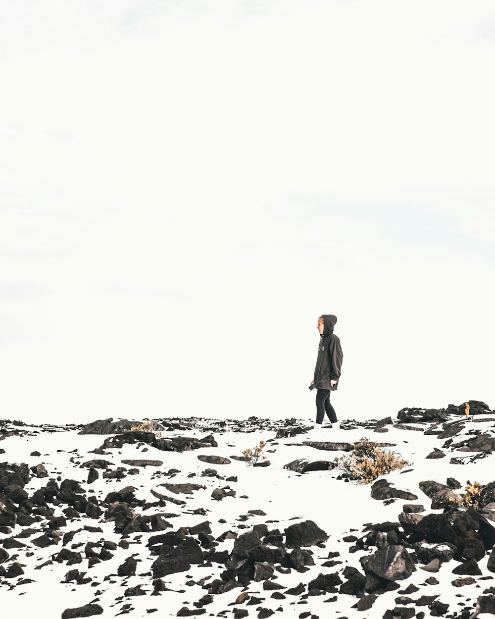 person standing on snowfield