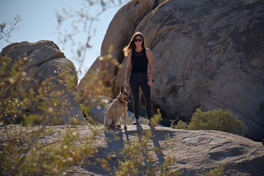woman standing beside dog on rock in Joshua Tree National Park United States