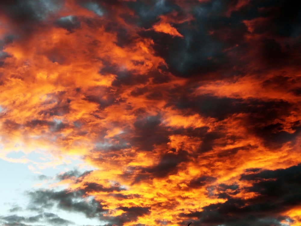 orange and gray cloudy sky during daytime