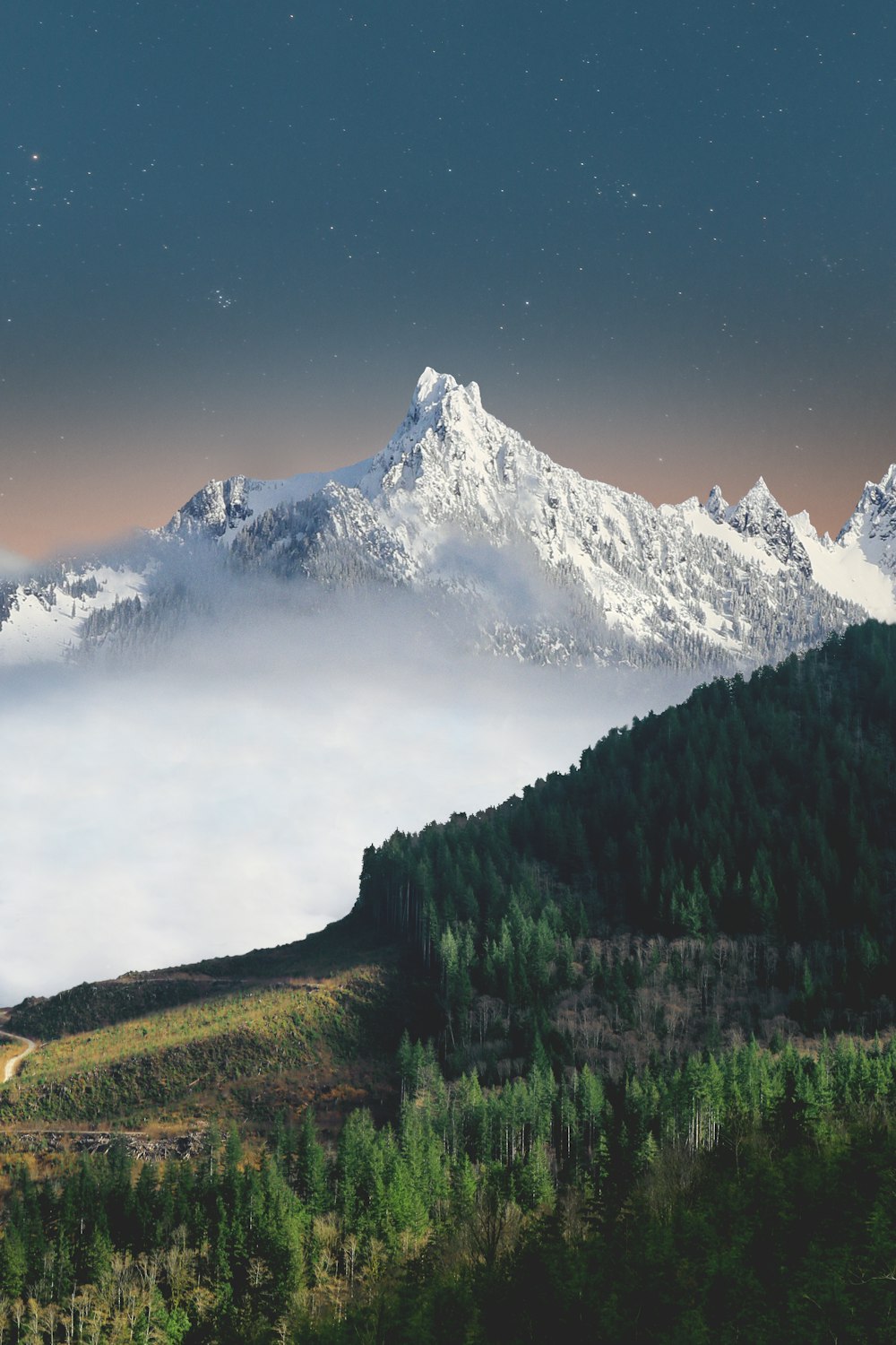 aerial photography of trees distance with white mountains