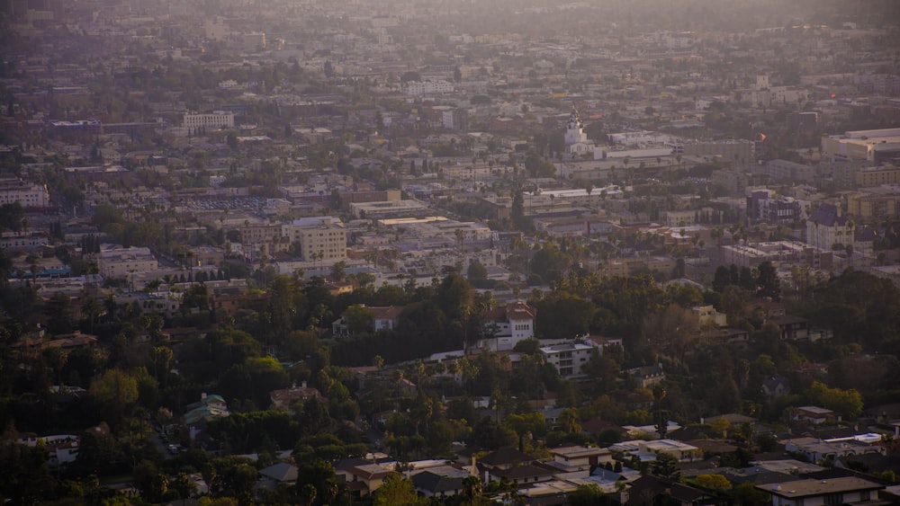 aerial photography of buildings and trees