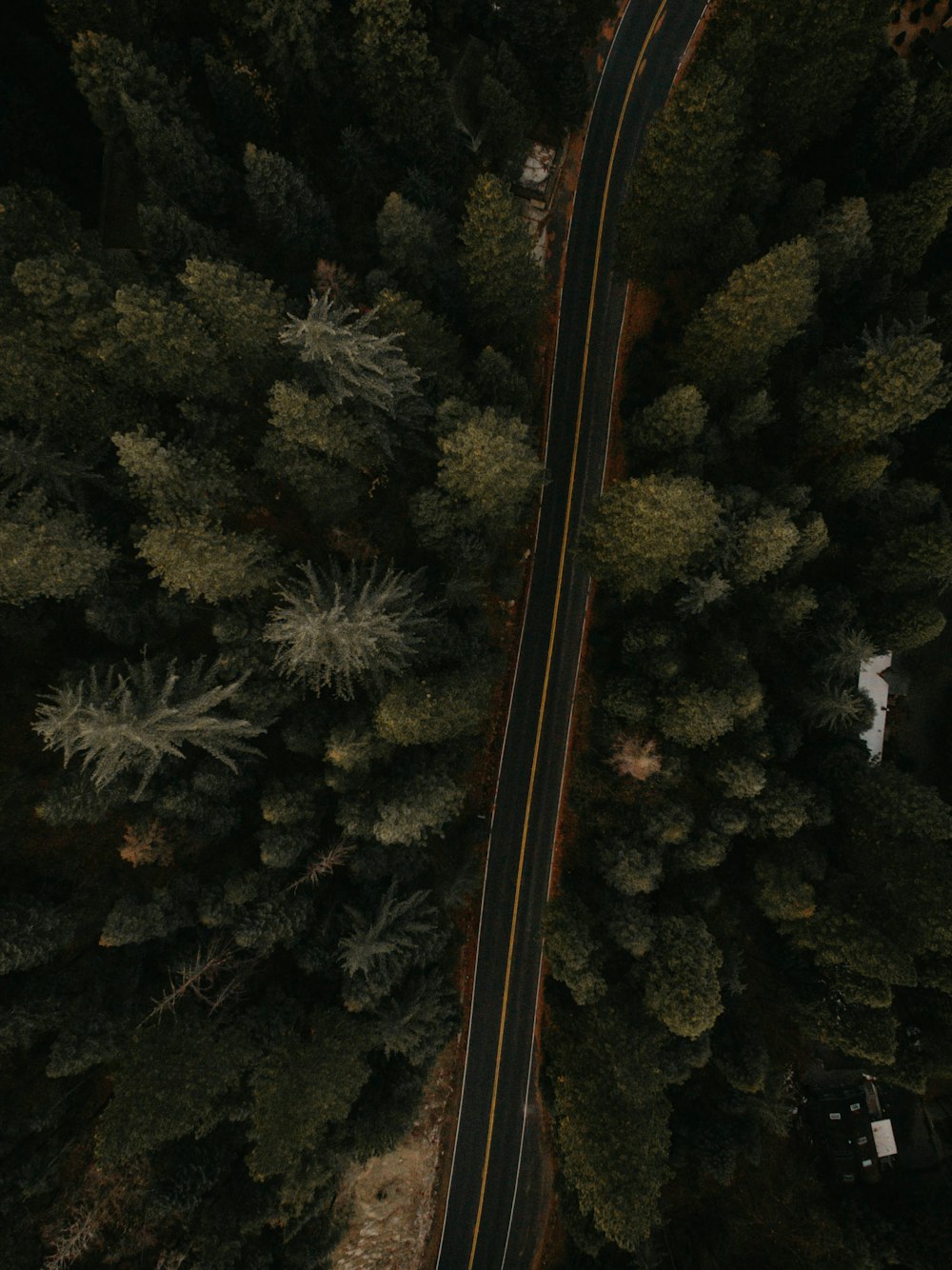 Colpo a volo d'uccello della strada principale