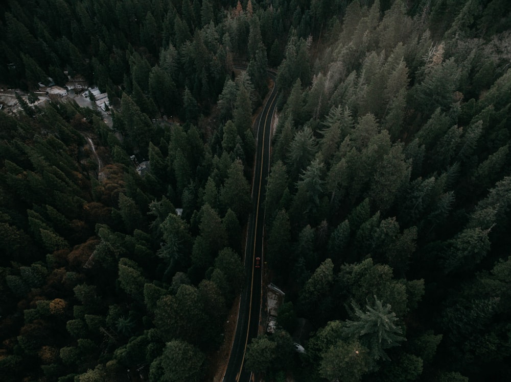 Photographie aérienne d’une route sur une forêt