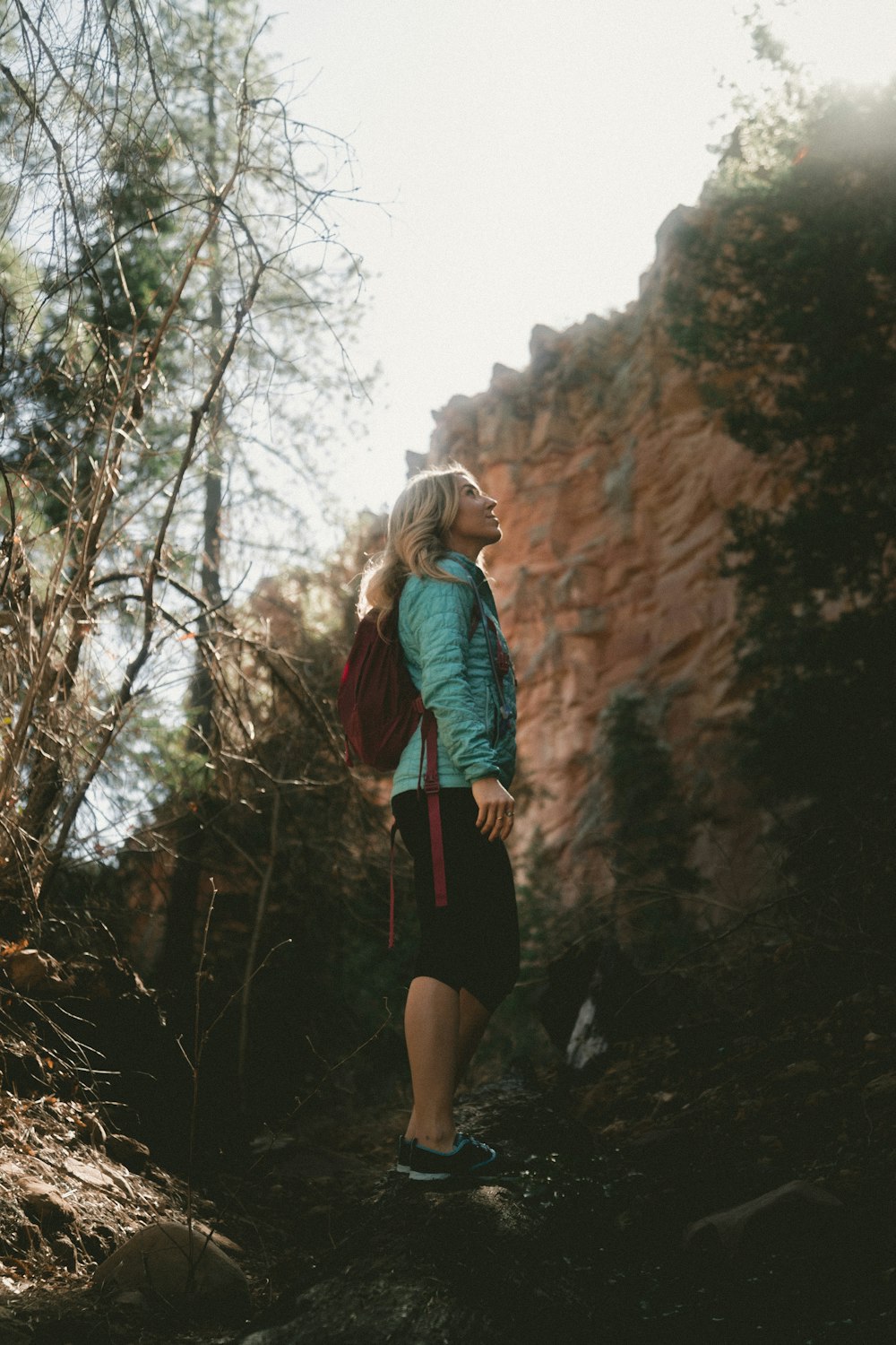 woman looking up on green trees