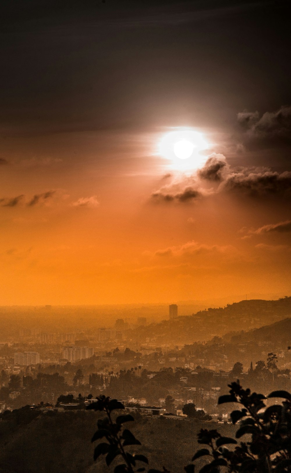 Fotografía aérea del horizonte de la ciudad durante la hora dorada